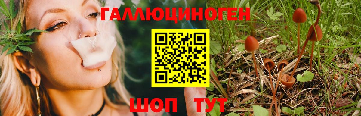 Нижний Тагил  Галлюциногенные грибы ЛСД  Псилоцибиновые грибы Magic Shrooms  Вход с VPN 