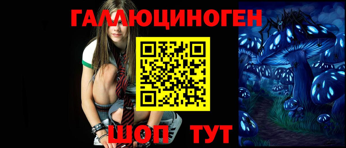 Псилоцибиновые грибы прущие грибы Нижний Тагил